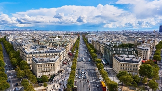 Thủ đô Paris triển khai dự án 'phủ xanh' đại lộ Champs-Elysees nổi tiếng