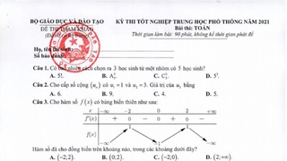 Đáp án đề thi THPT quốc gia môn Toán năm 2021