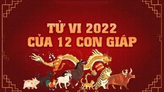 Tử vi tháng 2 âm lịch năm Nhâm Dần 2022 của 12 con giáp