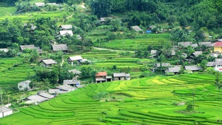 Vào bản, thăm nhà của người dân tộc ở Sapa cần lưu ý những gì?