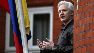 Vụ bắt nhà sáng lập WikiLeaks: Các chuyên gia LHQ chỉ trích mức án 'bất hợp lý'
