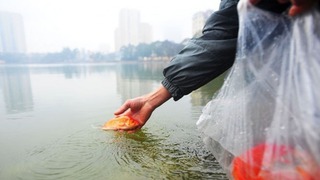 Chùm ảnh: Muôn màu cách thả cá trong ngày Tết 'Ông Công, ông Táo'