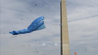 Ấn tượng Lễ hội thả diều mùa hoa anh đào tại Washington D.C