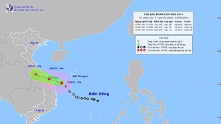 Bão số 6 di chuyển theo hướng Tây Tây Bắc với tốc độ 20 km/giờ