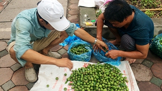 Cận cảnh những 'cao thủ' trèo sấu kiếm tiền triệu mỗi ngày ở Hà Nội