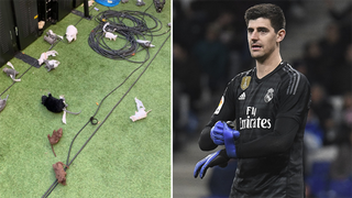 Thibaut Courtois bị gọi là chuột, nhận đầy chuột giả khi gặp lại Atletico