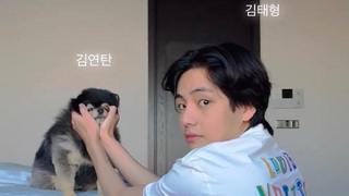 Nhờ chú cún Yeontan, V BTS lọt top được thích nhất Instagram mọi thời đại