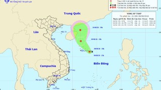 Ngày 10/8, vùng áp thấp khả năng mạnh lên thành áp thấp nhiệt đới