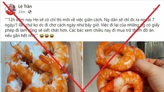 Hà Nội: Thông tin 'người dân chỉ được ra ngoài 7 ngày/1 lần' là sai sự thật