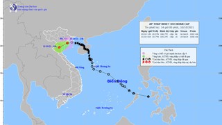 Sáng 11/10, áp thấp nhiệt đới suy yếu thành vùng áp thấp, bão Kompasu di chuyển nhanh