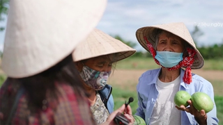 MV ‘Gửi vô Nam’ của Ánh Tuyết: Bà con nghèo góp nhặt từng bó rau, vài chục nghìn đồng