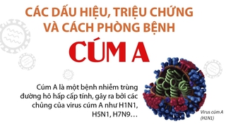 Các dấu hiệu, triệu chứng và cách phòng bệnh cúm A