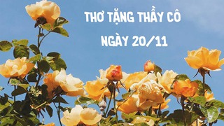 Em nghe thầy đọc bao ngày. Tiếng thơ đỏ nắng xanh cây quê nhà