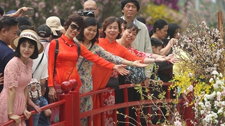 Quan hệ Việt Nam - Nhật Bản: Phát triển kinh tế, văn hóa đan xen