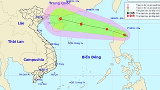 Tin áp thấp nhiệt đới giật cấp 8 trên Biển Đông