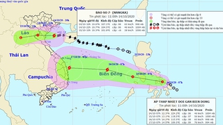 Bão số 7 cập nhật thông tin mới nhất