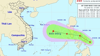 Áp thấp nhiệt đới đang có khả năng mạnh lên thành bão số 8 chồng bão số 7