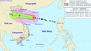 Bão số 7 giật cấp 11 đổ bộ đất liền Bắc Bộ và Bắc Trung Bộ