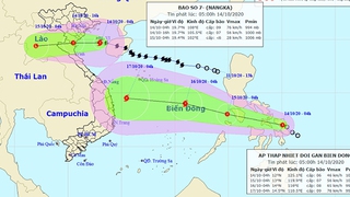 Bão số 7 đi vào đất liền các tỉnh từ Thái Bình đến Nghệ An