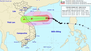 Tin bão mới nhất cơn bão số 8
