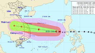 Bão số 9 cập nhật mới nhất