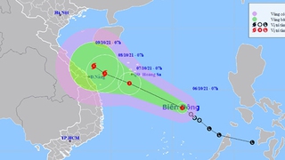Tin bão mới nhất cơn bão số 7: Dự báo áp thấp nhiệt đới mạnh thành bão số 7