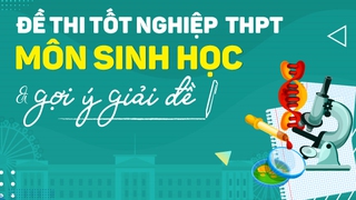 Đề thi môn Sinh học tốt nghiệp THPT quốc gia 2022