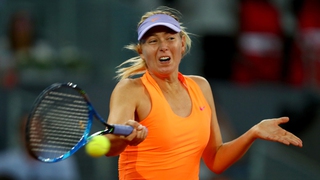 Sharapova không thể chỉ trông chờ vào đặc cách