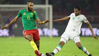 Soi kèo nhà cái Algeria vs Cameroon. Nhận định, dự đoán bóng đá vòng loại World Cup (02h30, 30/3)