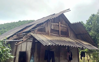 Dông lốc khiến một người bị thương và 35 ngôi nhà tốc mái ở Lào Cai