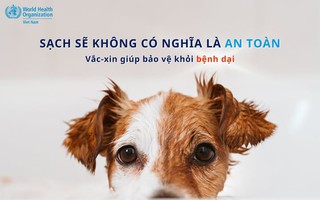 Thú cưng sạch sẽ chưa chắc đã an toàn trước sự tấn công của virus dại