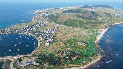 Quảng Ngãi: Ứng dụng công nghệ cao nâng tầm giá trị tỏi Lý Sơn