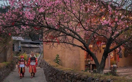 Lũng Cú - điểm hẹn muôn sắc hoa nơi địa đầu Tổ quốc