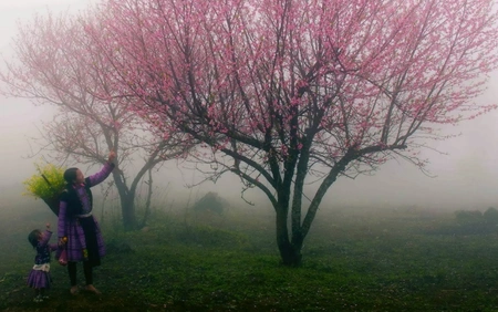 Thời tiết ngày 11/1: Bắc Bộ và Bắc Trung Bộ nhiệt độ tăng, xu hướng ấm dần