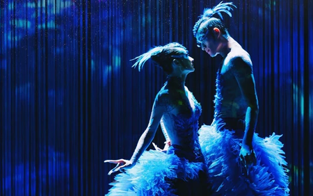 Vở vũ kịch “Khổng Tước - The Peacock Hanoi 2026” sẽ ra mắt công chúng Việt Nam vào đầu tháng Ba