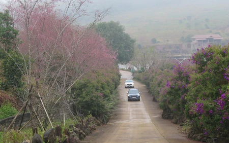 Vì một miền quê đáng sống: Măng Đen giữa đại ngàn Tây Nguyên níu chân lữ khách