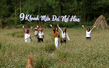Bảo đảm an toàn trên tuyến đường lên cao nguyên đá mùa Lễ hội Hoa Tam giác mạch 2026