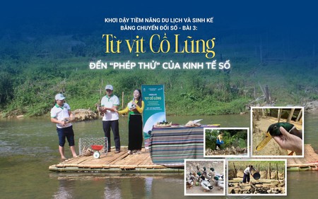 Từ vịt Cổ Lũng đến "phép thử" của kinh tế số