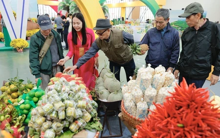 Hội chợ Mùa Xuân 2026: Kích hoạt không gian giao thương hòa nhịp cùng sắc xuân văn hóa