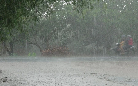 Thời tiết ngày 31/5: Cảnh báo mưa lớn ở Nam Bộ và Lâm Đồng