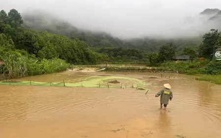 Thời tiết hôm nay: Cả nước có mưa rào, có nơi mưa dông rất to