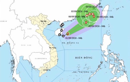 Áp thấp nhiệt đới đã mạnh lên thành bão – bão số 5 trong năm 2026