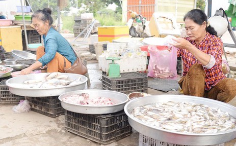 Phiên chợ độc đáo ở vùng sông nước miền Tây