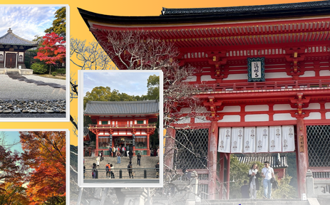 Mùa thu Kyoto - Sắc đỏ lan tỏa trên những di sản cổ kính 
