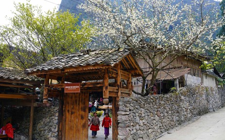 Du lịch Việt Nam 2025: Điểm sáng trong bức tranh tăng trưởng kinh tế, xã hội