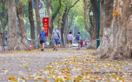 Hình ảnh một Hà Nội đẹp dịu dàng mùa lá rụng