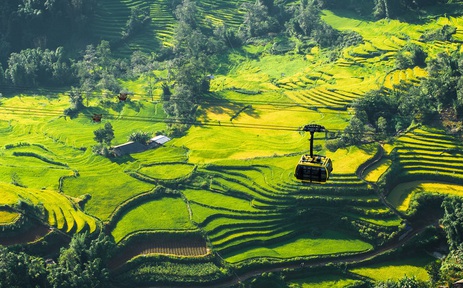 Sa Pa được chọn là điểm đến lý tưởng cho người tuổi Sửu năm 2026 