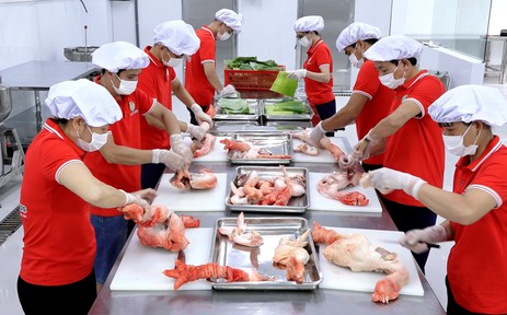 Đặc sản gà Đông Tảo hút khách dịp Tết