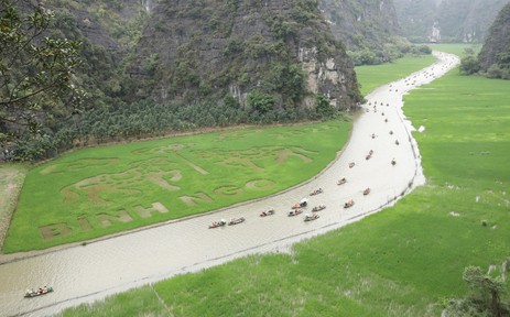 Ninh Bình dệt bức tranh bằng lúa khổ lớn giữa muôn trùng núi non