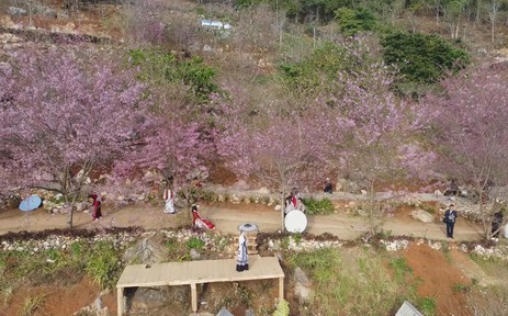 Đưa Mộc Châu trở thành điểm đến hấp dẫn của vùng Tây Bắc